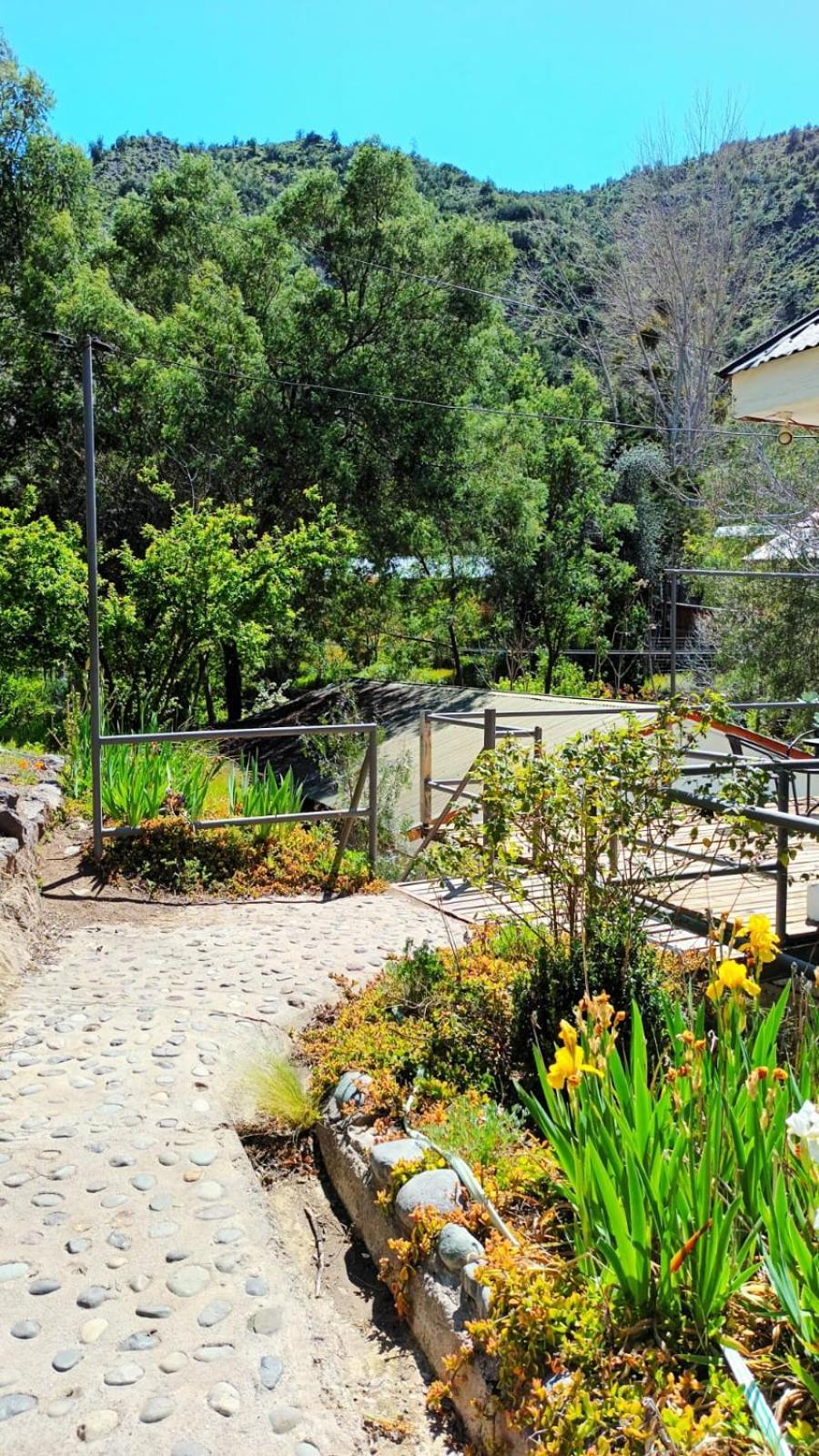 Hostal Los Penones San Alfonso Dış mekan fotoğraf