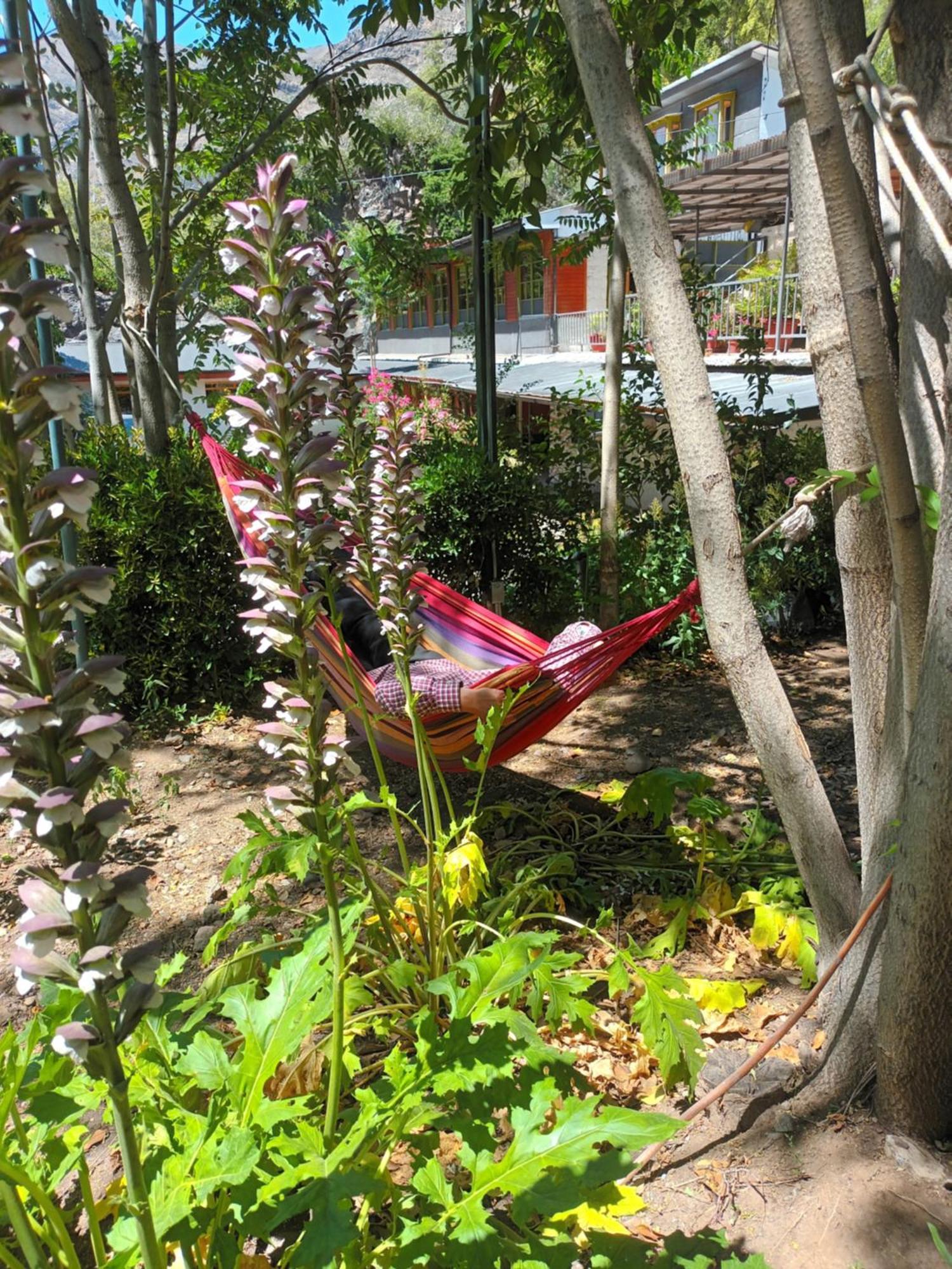 Hostal Los Penones San Alfonso Dış mekan fotoğraf